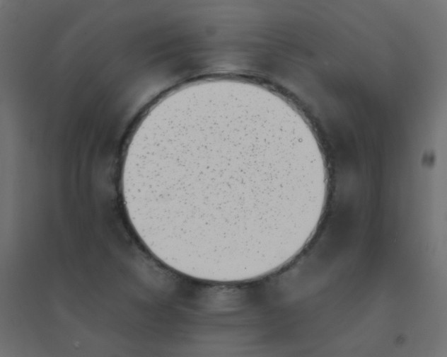X0000094911314200712131444