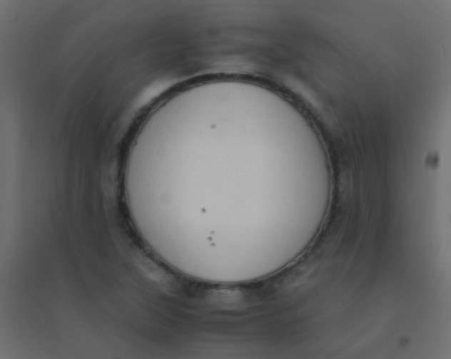 X0000094911315200712131444
