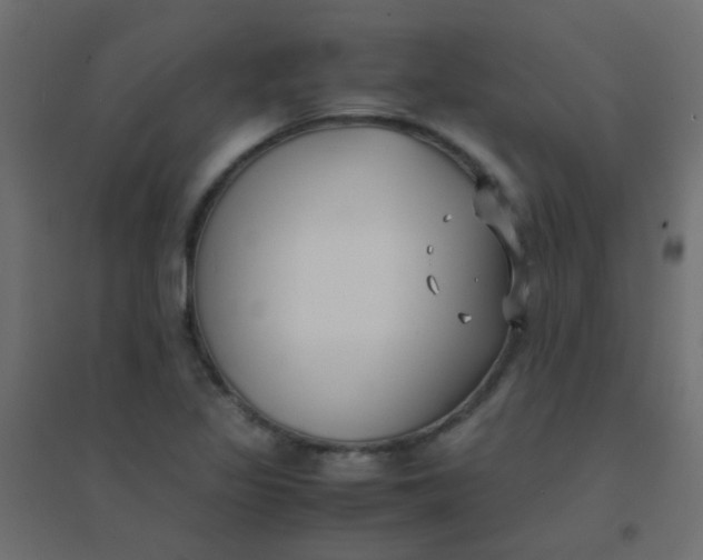 X0000094911317200712131444