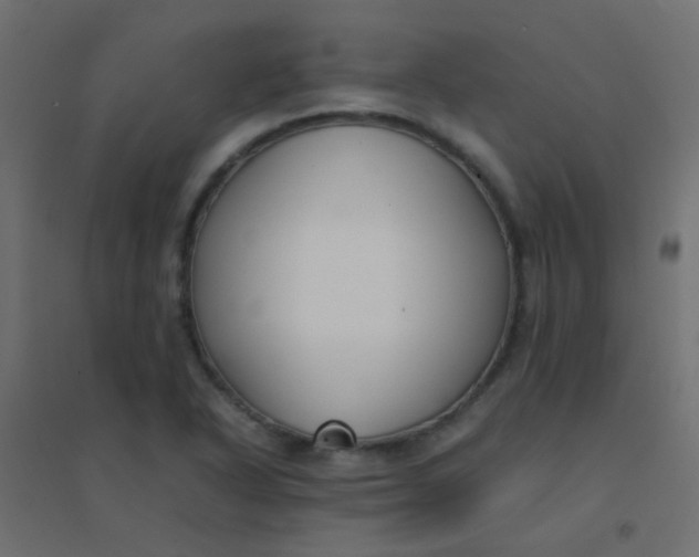 X0000094911318200712131444