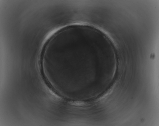 X0000094911319200712131444