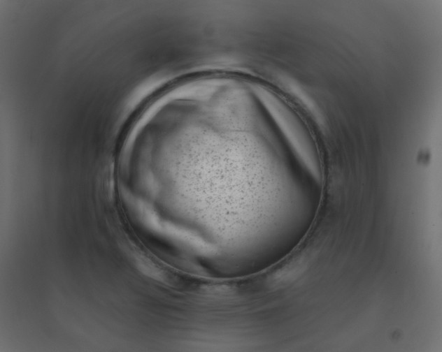 X0000094911320200712131444