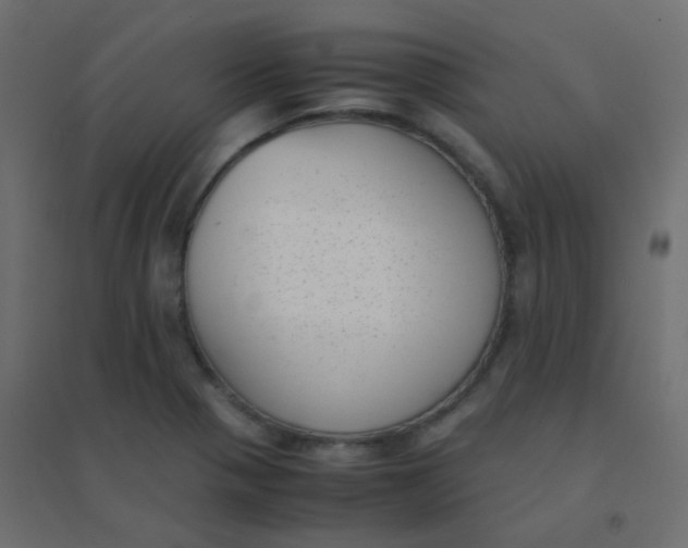 X0000094911321200712131444