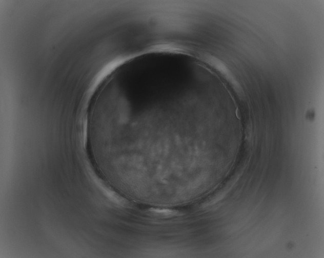 X0000094911323200712131444