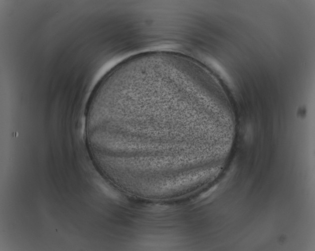 X0000094911324200712131444