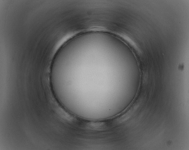 X0000094911325200712131444