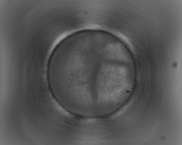 X0000094911326200712131444