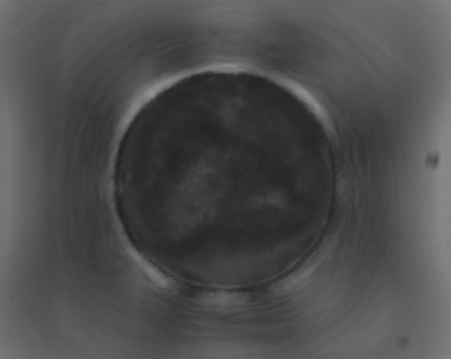 X0000094911327200712131444