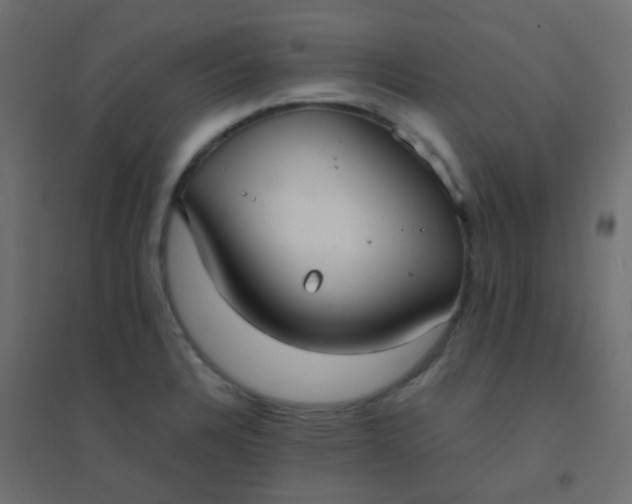 X0000094911328200712131444