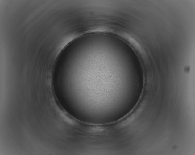 X0000094911329200712131444