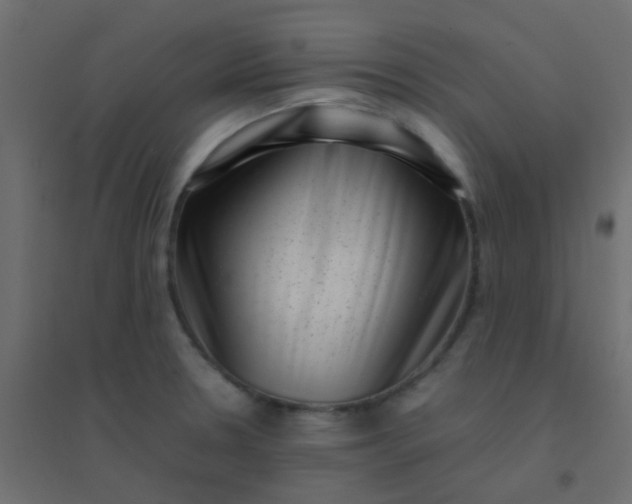 X0000094911330200712131444