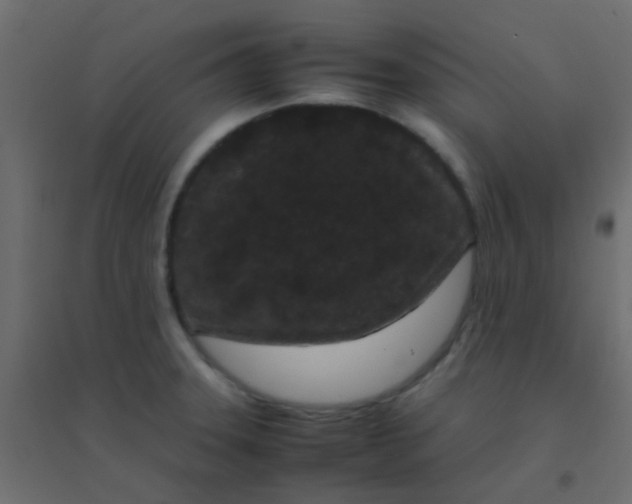 X0000094911331200712131444