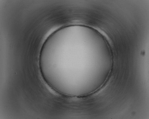 X0000094911333200712131444
