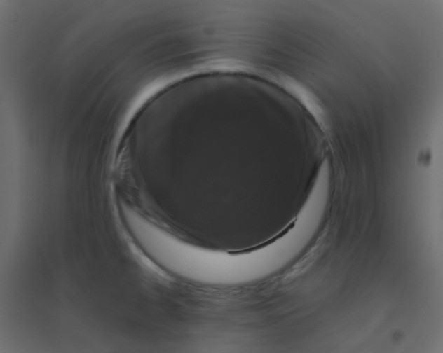 X0000094911334200712131444