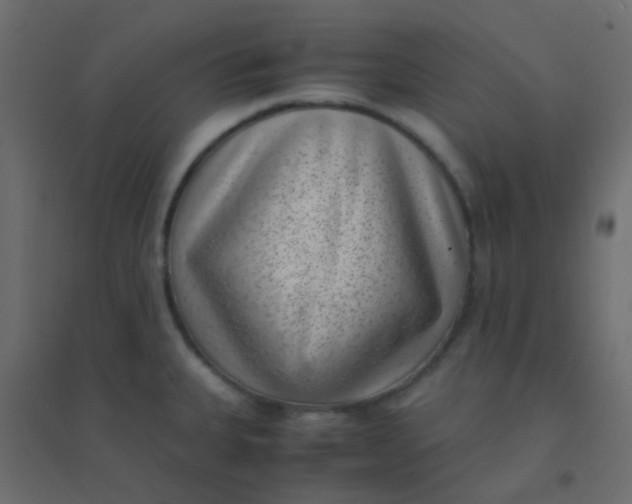 X0000094911335200712131444