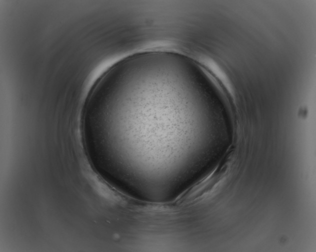 X0000094911336200712131444