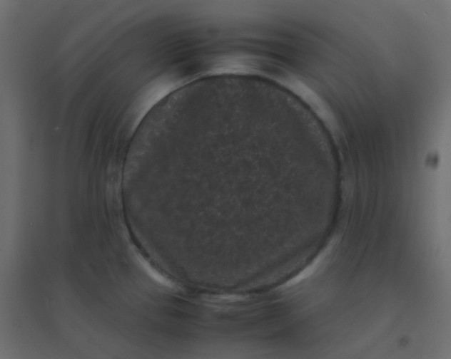 X0000094911337200712131444