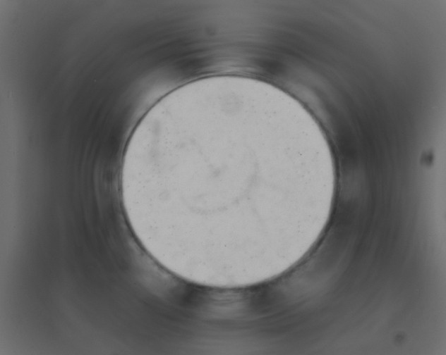 X0000094911338200712131444