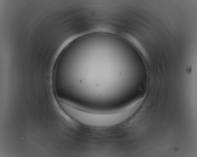 X0000094911339200712131444