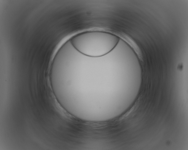 X0000094911340200712131444