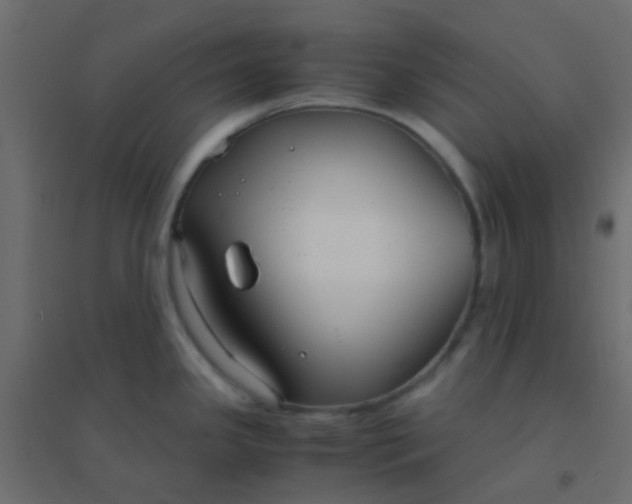 X0000094911341200712131444