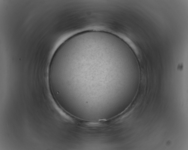 X0000094911343200712131444