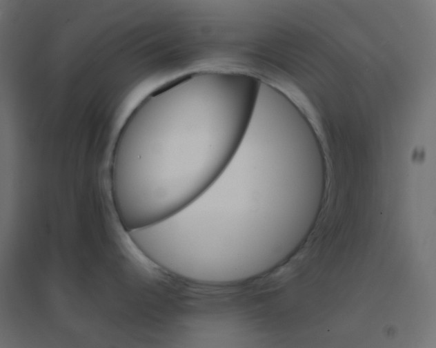 X0000094911344200712131444