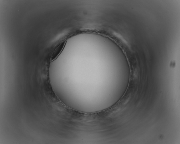 X0000094911350200712131443