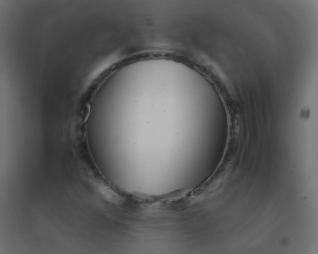 X0000094911352200712131443
