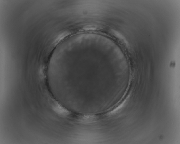 X0000094911353200712131443