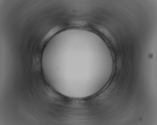 X0000094911354200712131443