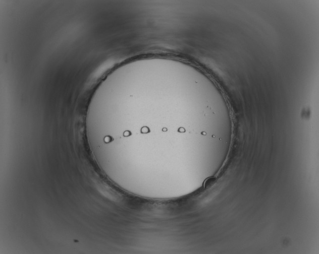 X0000094911355200712131443