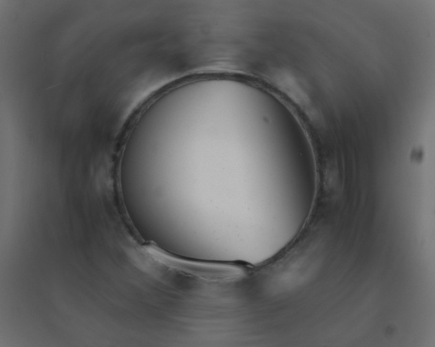 X0000094911356200712131443