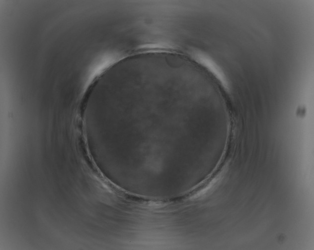 X0000094911357200712131443