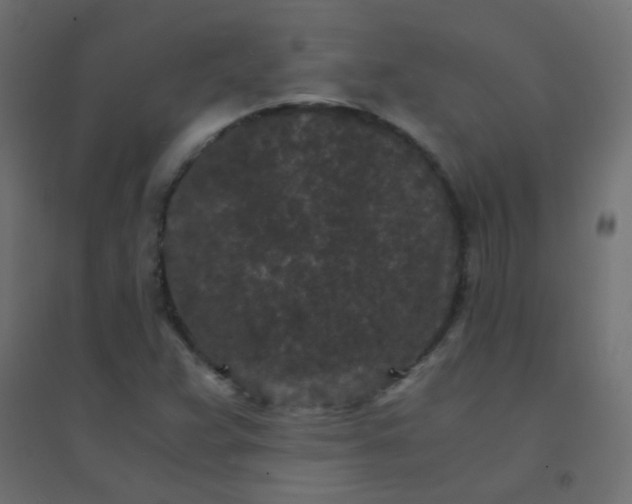 X0000094911359200712131443
