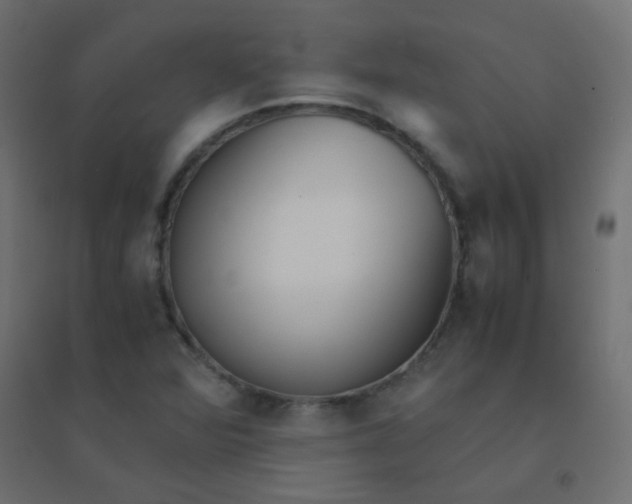 X0000094911360200712131443