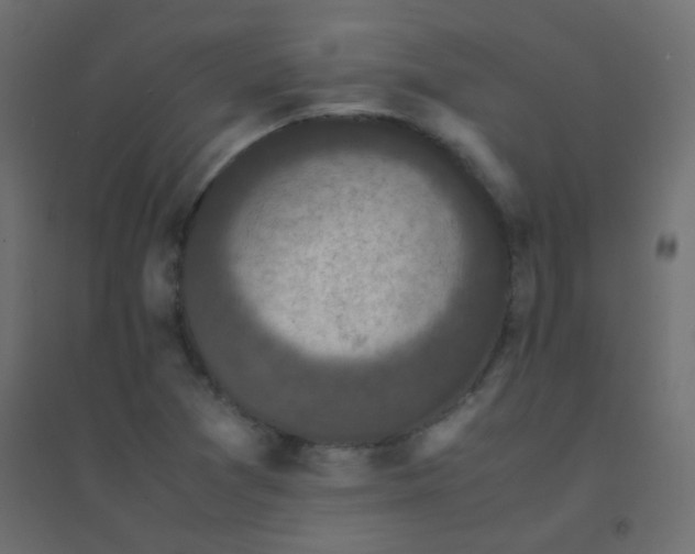 X0000094911361200712131443