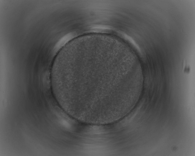 X0000094911362200712131443