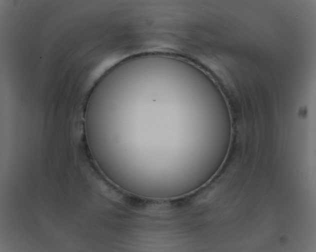 X0000094911363200712131443