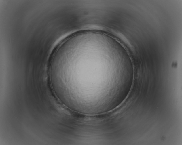 X0000094911364200712131443