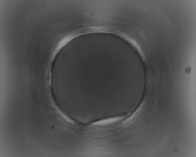 X0000094911365200712131443
