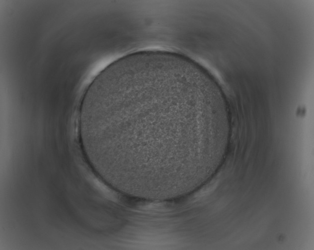 X0000094911367200712131443