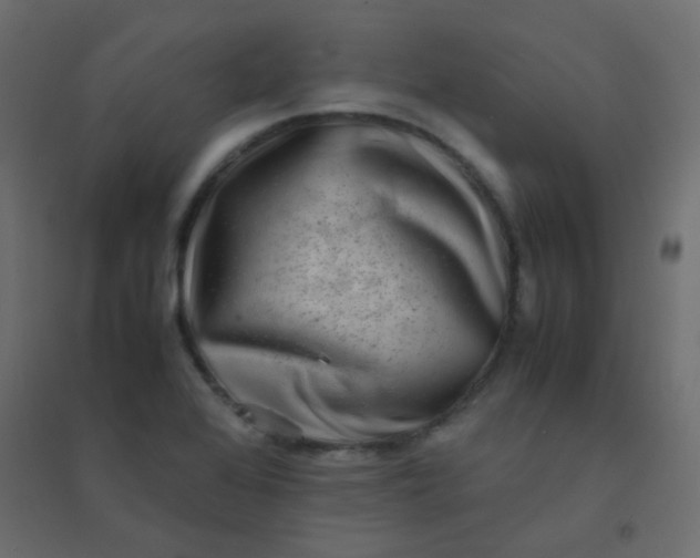 X0000094911368200712131443
