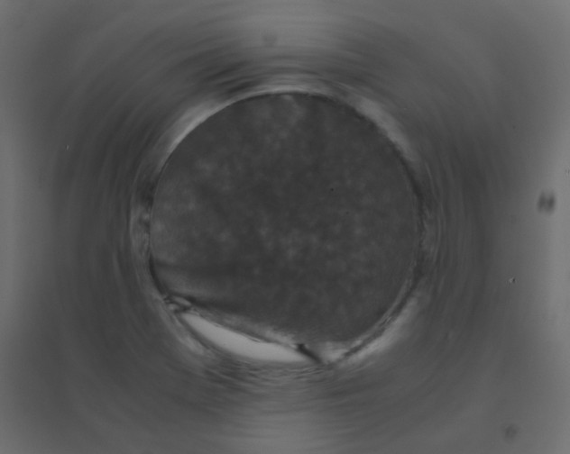 X0000094911369200712131443