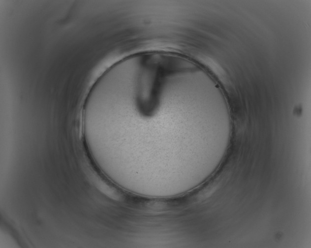 X0000094911371200712131443