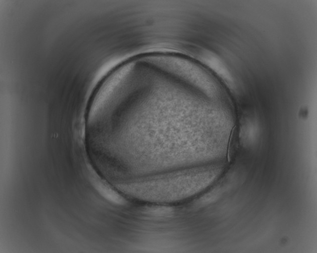 X0000094911372200712131443