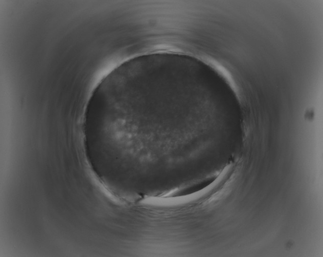X0000094911373200712131443