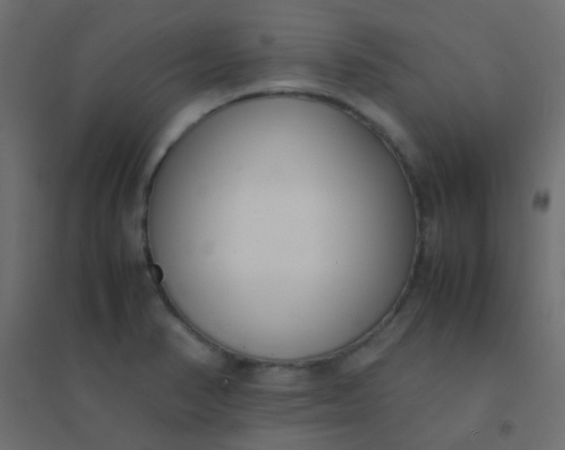 X0000094911374200712131443