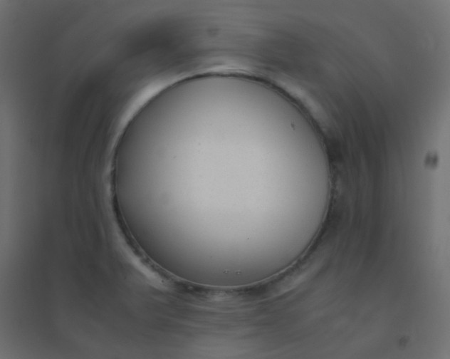 X0000094911375200712131443