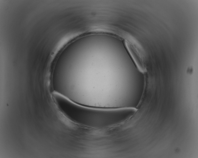 X0000094911376200712131443